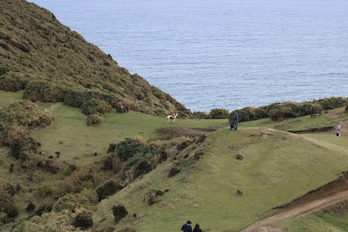 CAMINO A MUELLE DE LAS ALMAS