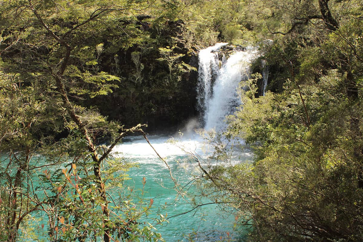 CASCADA EN EL RIO PETROHUE