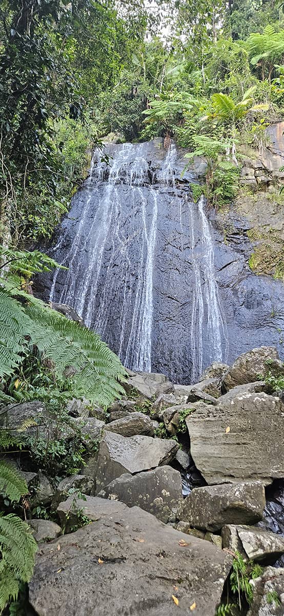 Catarata La Coca, El Yunque Puerto Rico