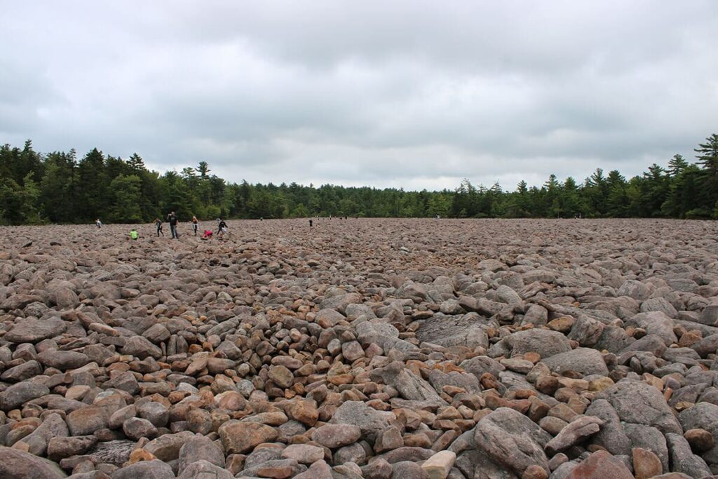 Hickory Run Boulder Field