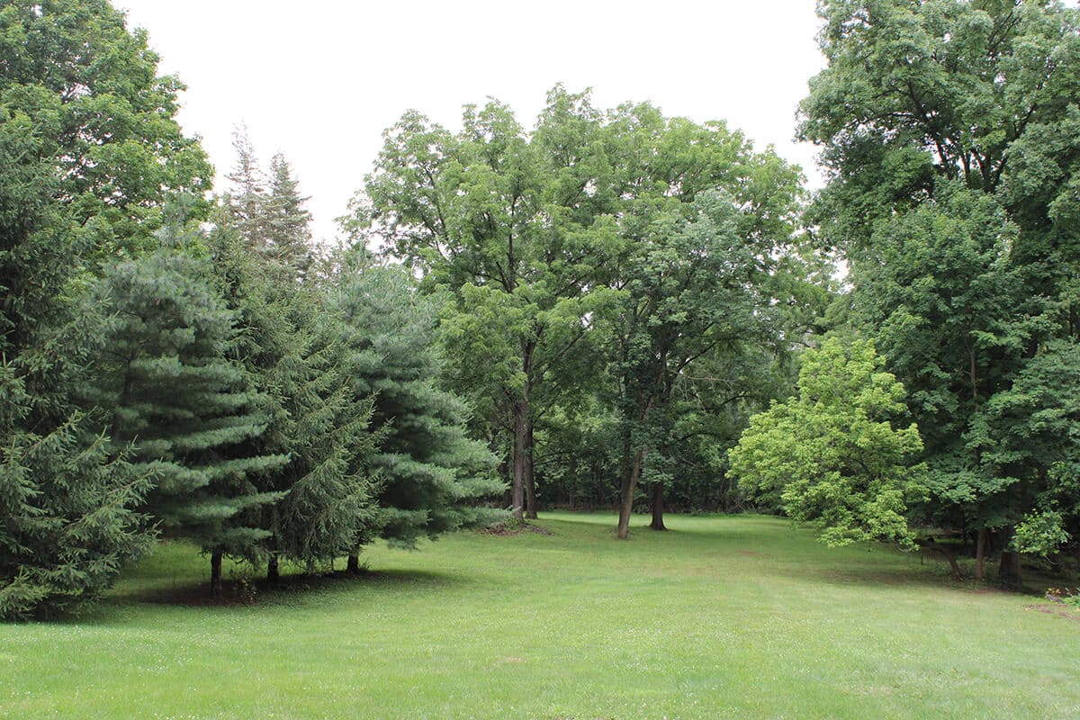Pennsylvannia Indian Echo Caverns