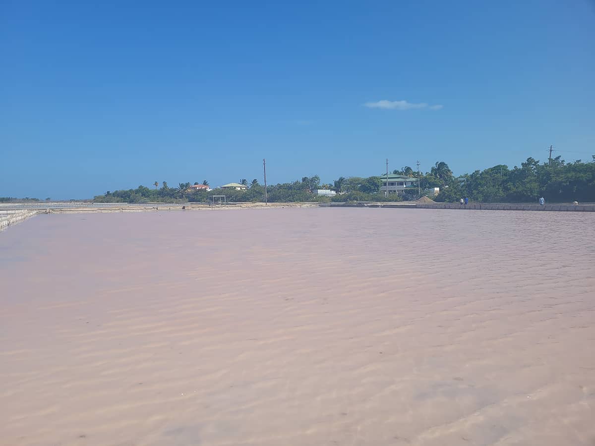 Salinas de Cabo Rojo, Puerto Rico