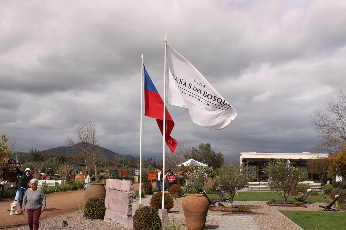 VIÑEDO CASA DEL BOSQUE