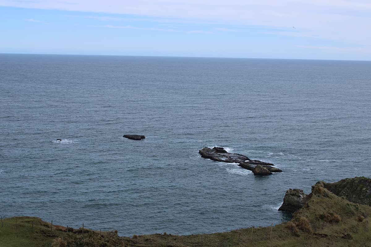 VISTA DESDE MUELLE DE LAS ALMAS